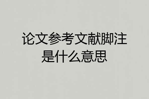 论文参考文献脚注是什么意思