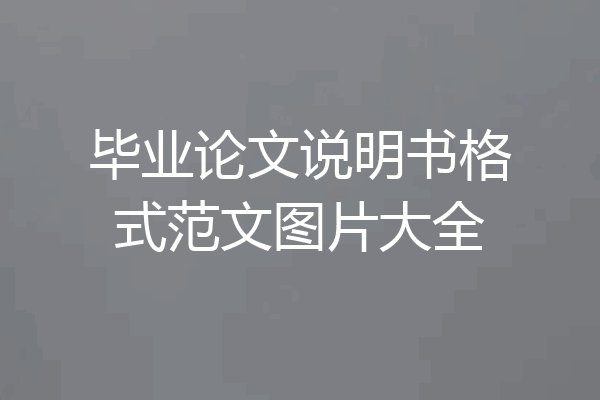 毕业论文说明书格式范文图片大全