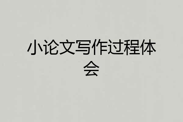 小论文写作过程体会