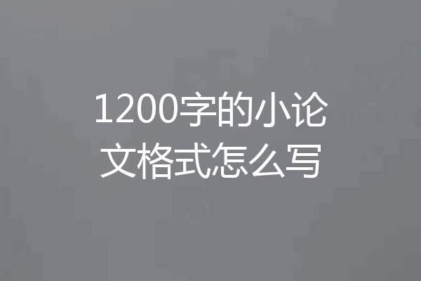 1200字的小论文格式怎么写