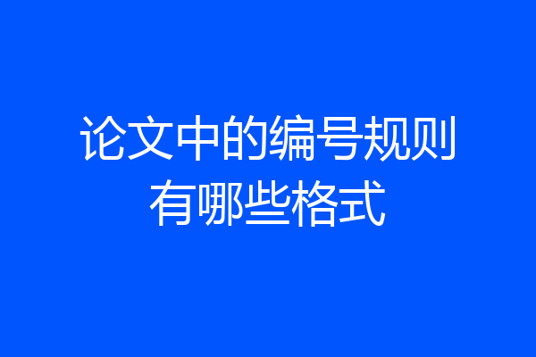 论文中的编号规则有哪些格式