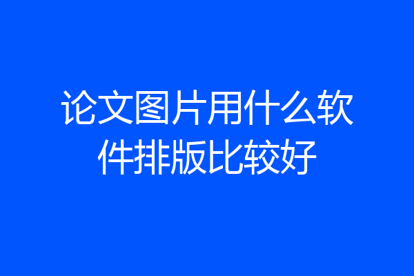 论文图片用什么软件排版比较好