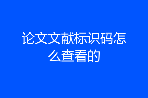 论文文献标识码怎么查看的