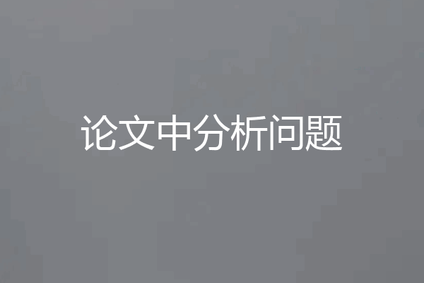 论文中分析问题