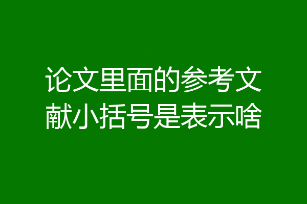 论文里面的参考文献小括号是表示啥