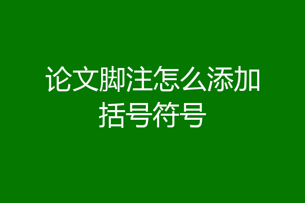 论文脚注怎么添加括号符号
