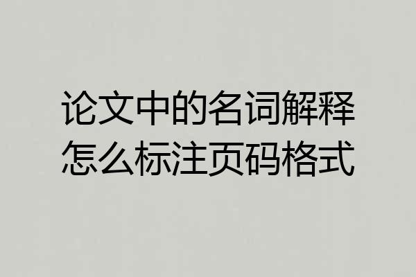 论文中的名词解释怎么标注页码格式
