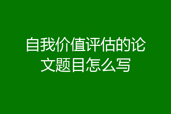 自我价值评估的论文题目怎么写