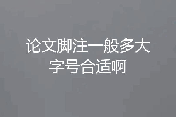 论文脚注一般多大字号合适啊