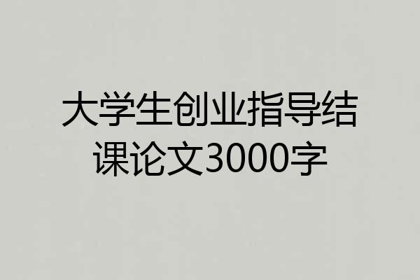 大学生创业指导结课论文3000字