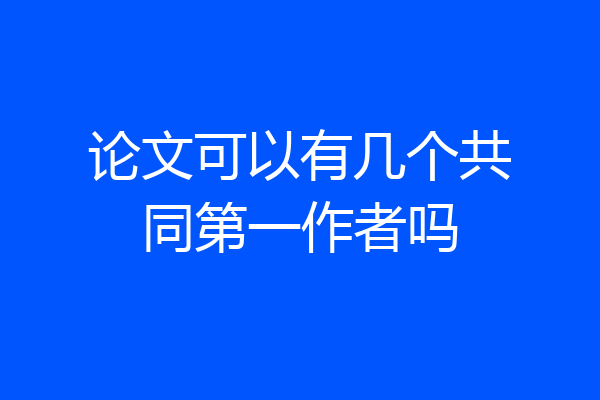 论文可以有几个共同第一作者吗