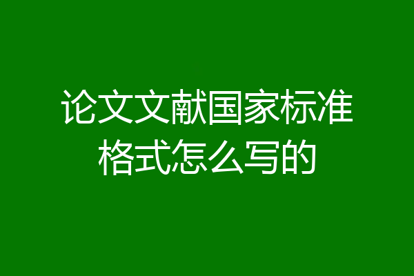 论文文献国家标准格式怎么写的