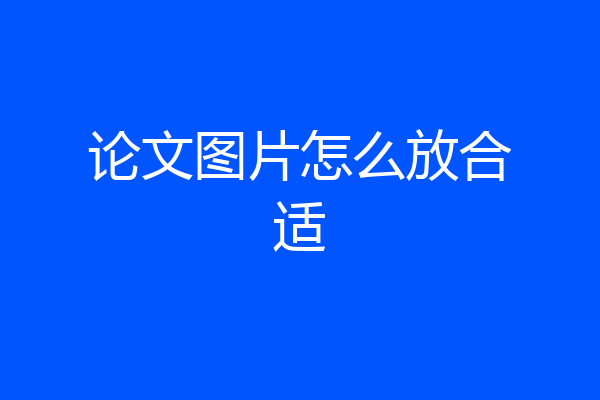 论文图片怎么放合适