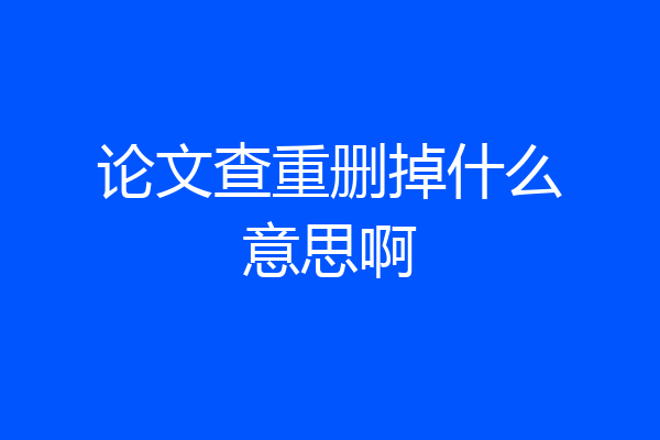 论文查重删掉什么意思啊