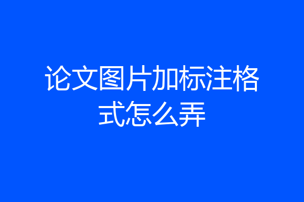 论文图片加标注格式怎么弄