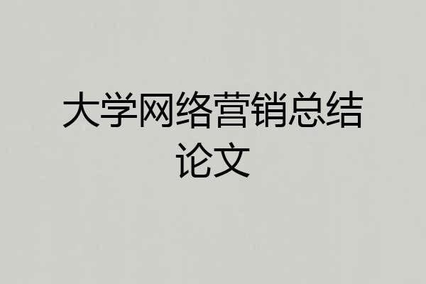 大学网络营销总结论文