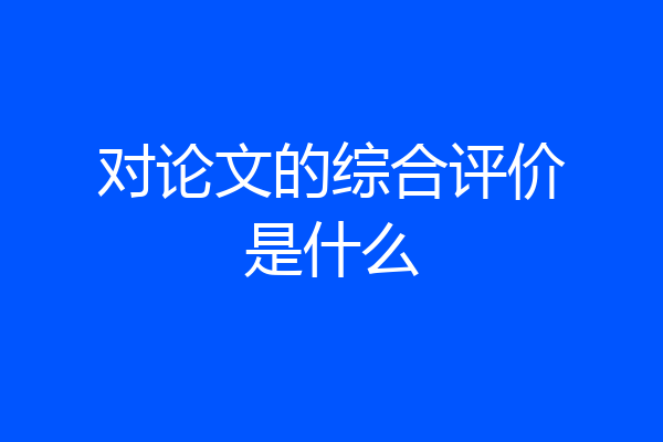 对论文的综合评价是什么