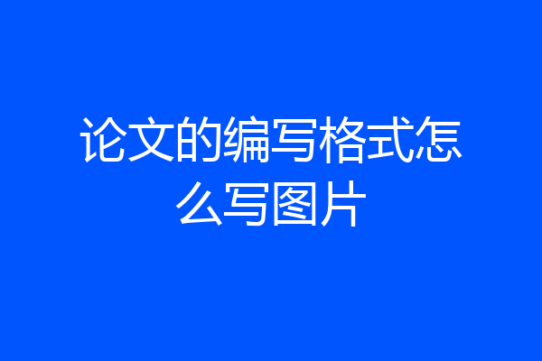 论文的编写格式怎么写图片
