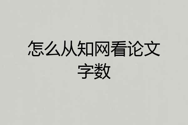 怎么从知网看论文字数