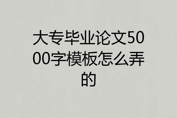 大专毕业论文5000字模板怎么弄的