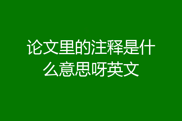 论文里的注释是什么意思呀英文