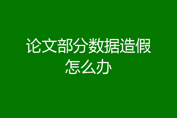 论文部分数据造假怎么办