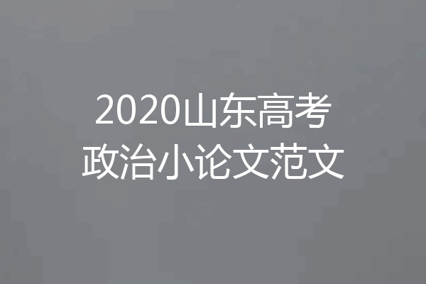 2020山东高考政治小论文范文