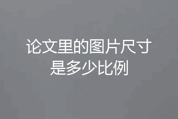 论文里的图片尺寸是多少比例