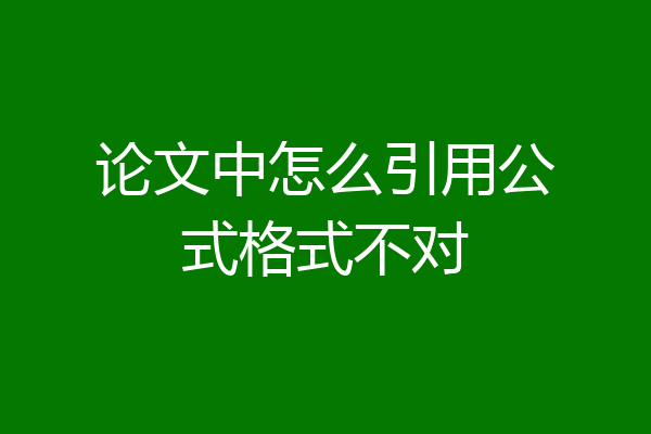 论文中怎么引用公式格式不对