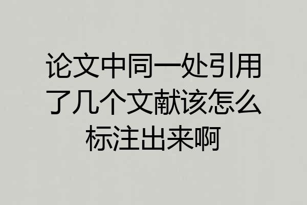 论文中同一处引用了几个文献该怎么标注出来啊