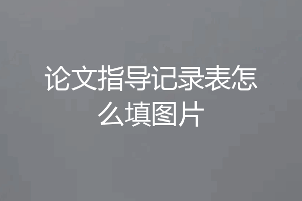 论文指导记录表怎么填图片
