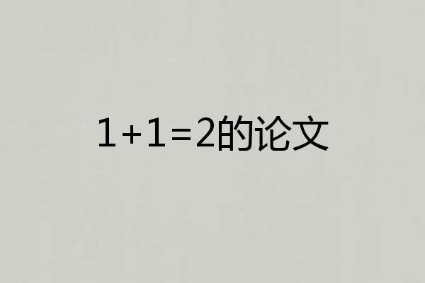 1+1=2的论文