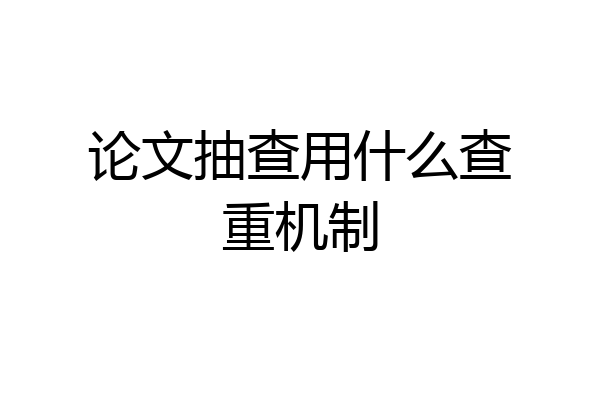 论文抽查用什么查重机制