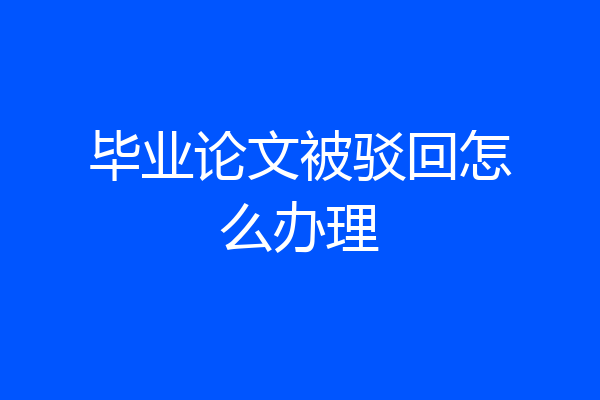 毕业论文被驳回怎么办理
