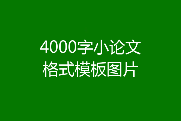 4000字小论文格式模板图片