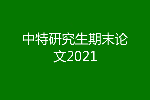 中特研究生期末论文2021