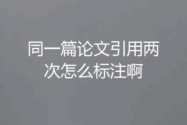 同一篇论文引用两次怎么标注啊