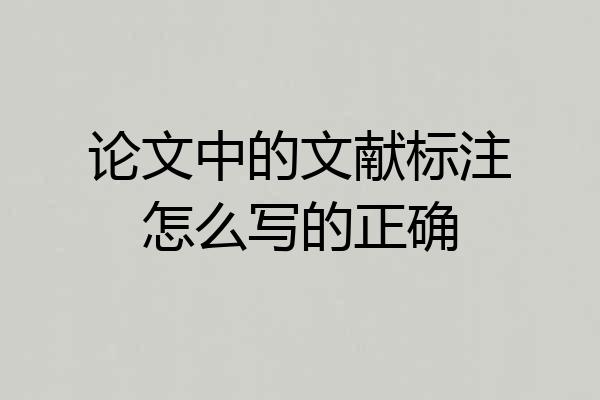 论文中的文献标注怎么写的正确