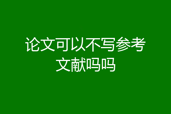 论文可以不写参考文献吗吗