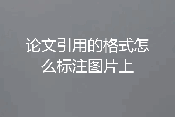 论文引用的格式怎么标注图片上