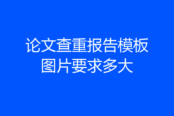 论文查重报告模板图片要求多大