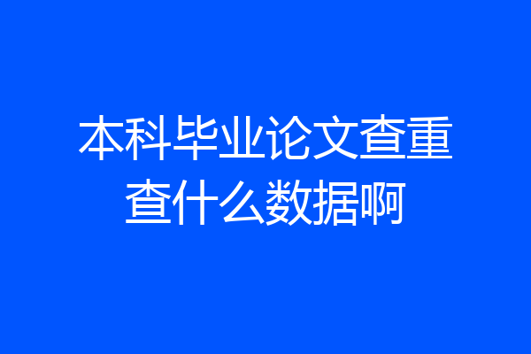 本科毕业论文查重查什么数据啊