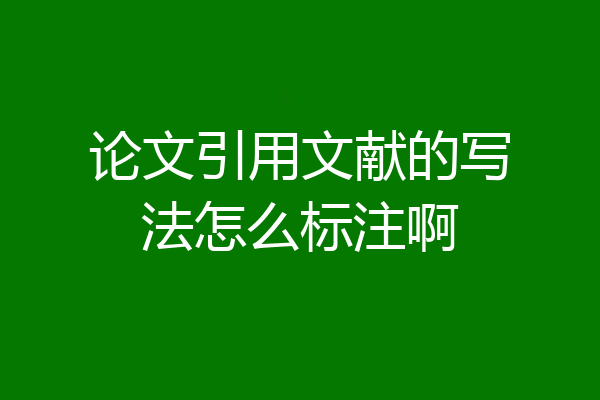 论文引用文献的写法怎么标注啊