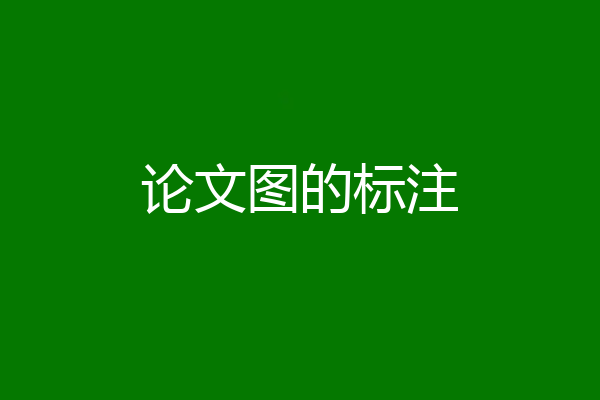 论文图的标注