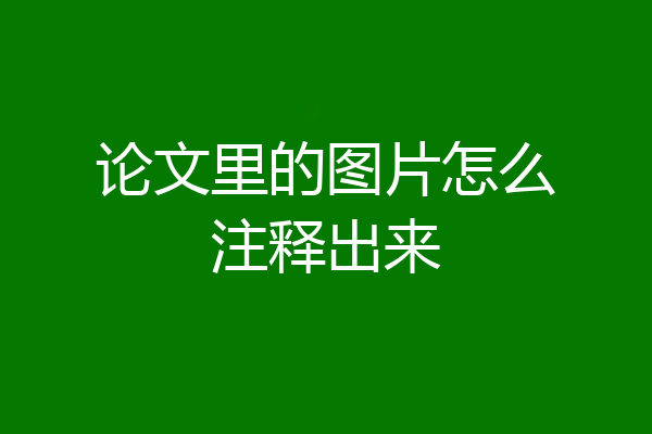 论文里的图片怎么注释出来