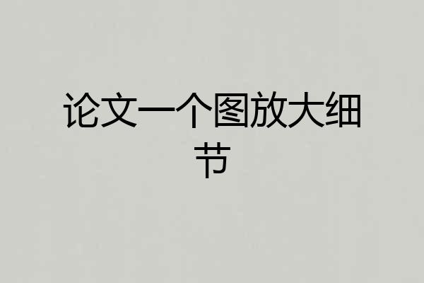 论文一个图放大细节