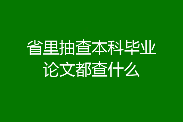 省里抽查本科毕业论文都查什么