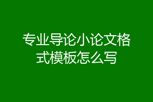 专业导论小论文格式模板怎么写