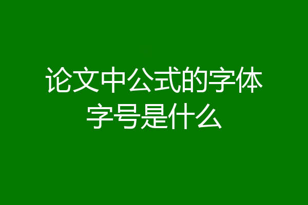 论文中公式的字体字号是什么