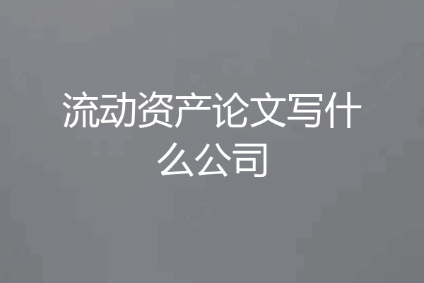 流动资产论文写什么公司
